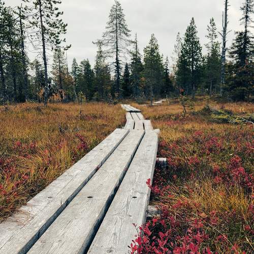 Photo #6629240