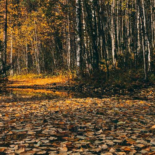 Photo #6629259