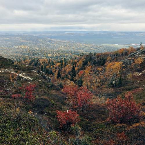 Photo #6629266
