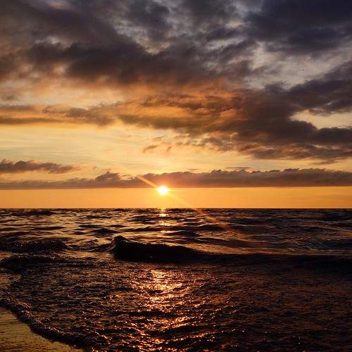 Photo #6629306