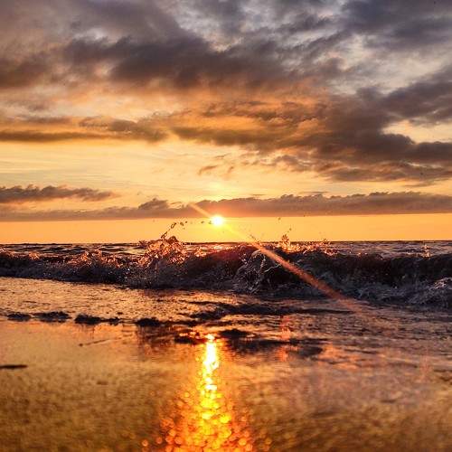 Photo #6629307