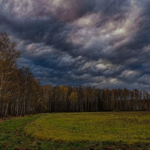 Photo #6629358