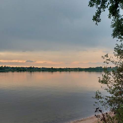 Photo #6629788