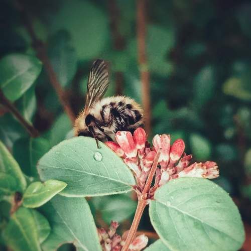 Photo #6629810