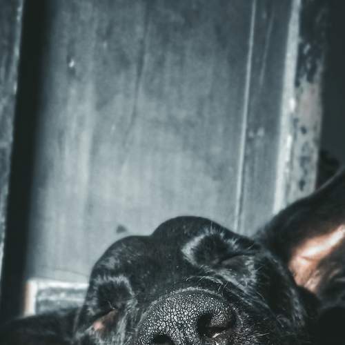 Photo #6630051