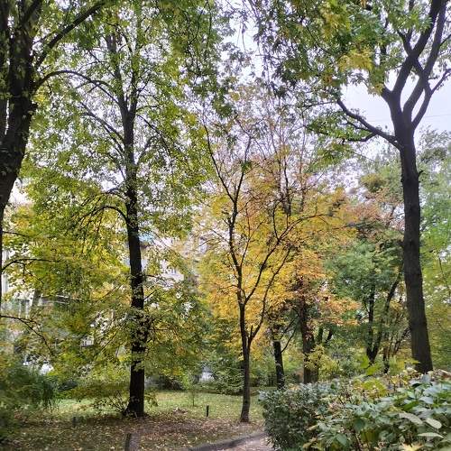 Photo #6630237