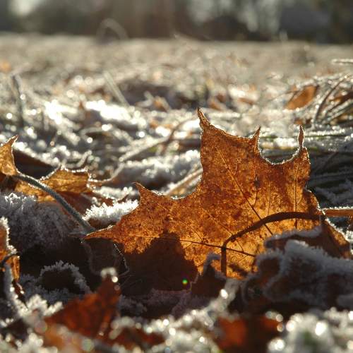 Photo #6630499
