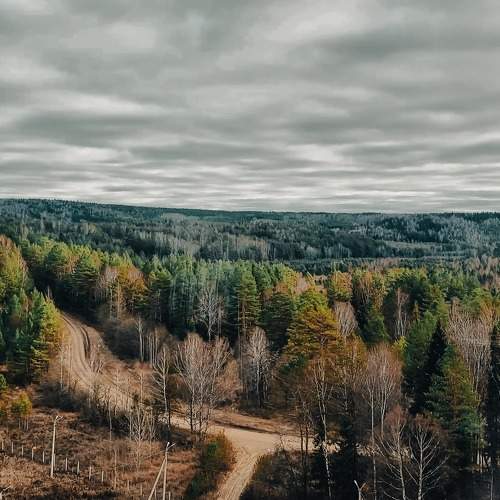 Photo #6631016