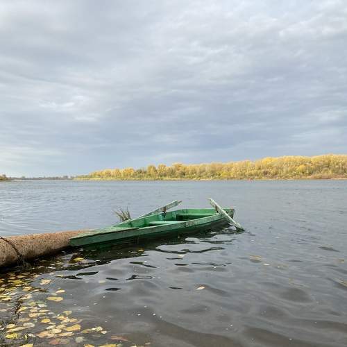 Photo #6631079