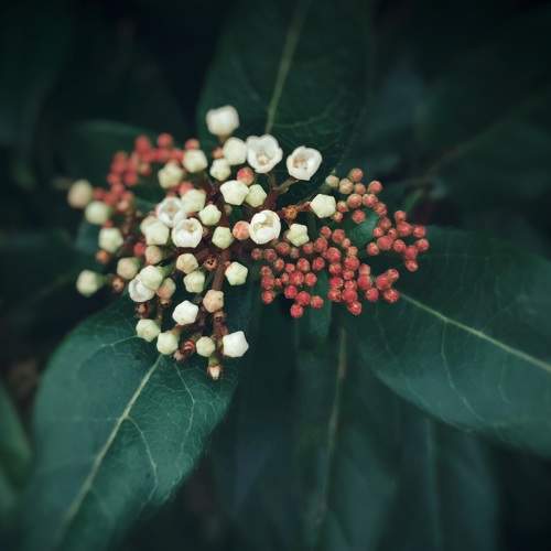Photo #6631183