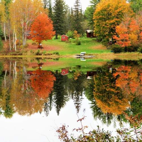 Photo #6631258