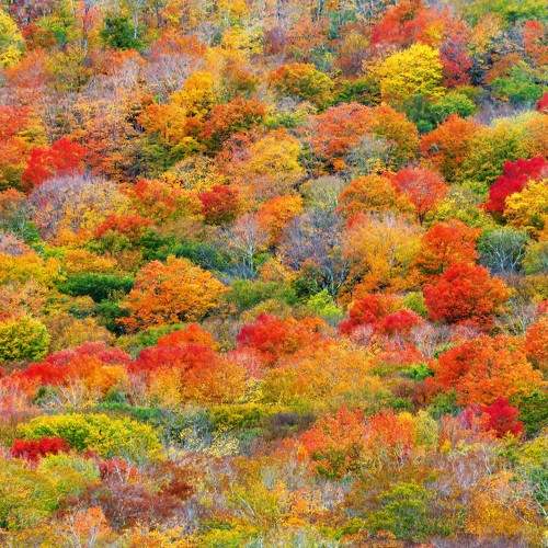 Photo #6631261