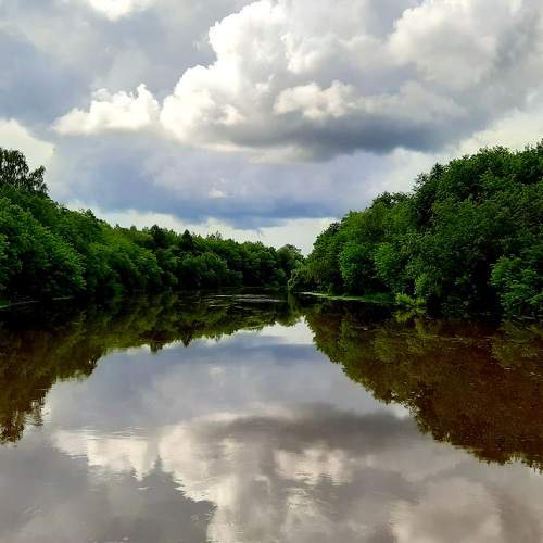 Photo #6631360
