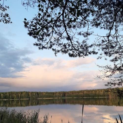 Photo #6631362