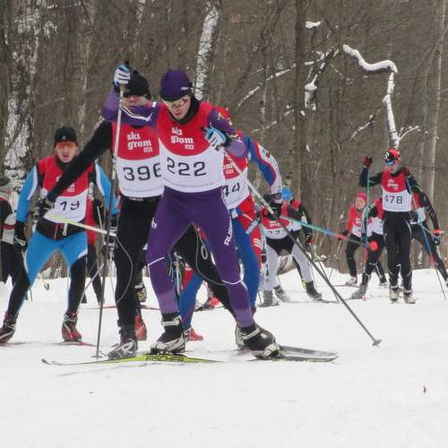 Photo #6631567