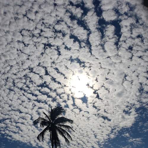 Photo #6631867