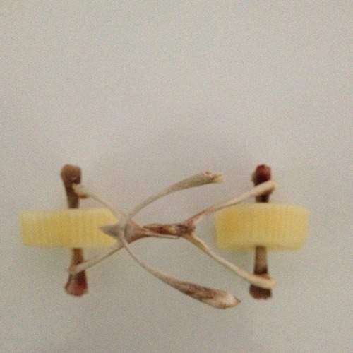 Photo #6631897