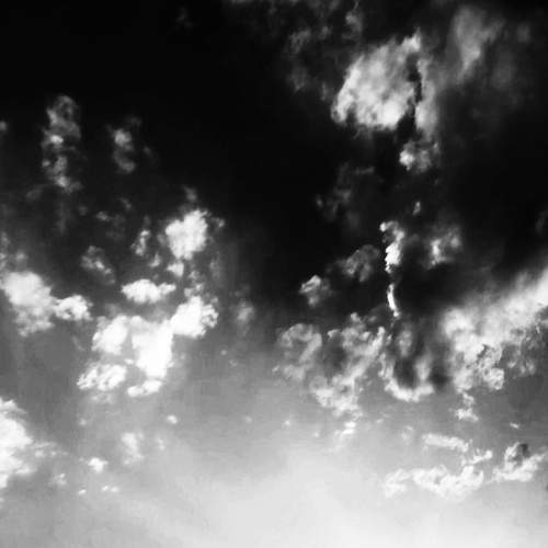 Photo #6631934