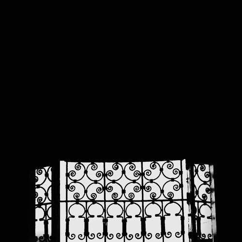 Photo #6631937
