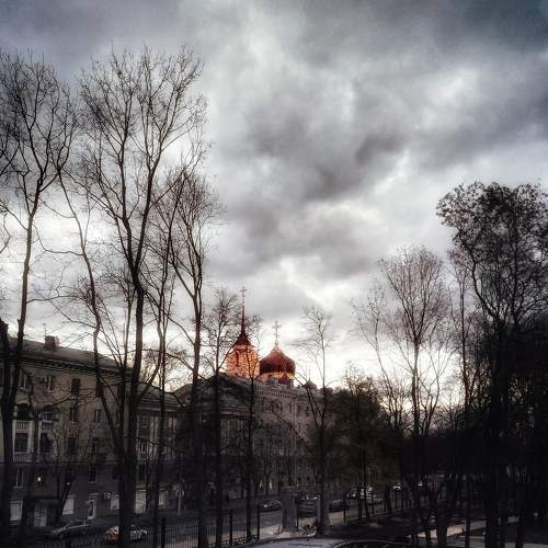 Photo #6632180