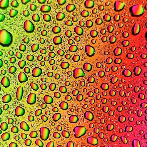 Photo #6632611