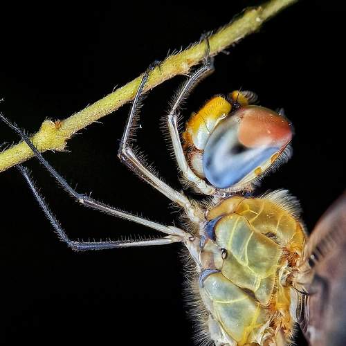 Photo #6632629