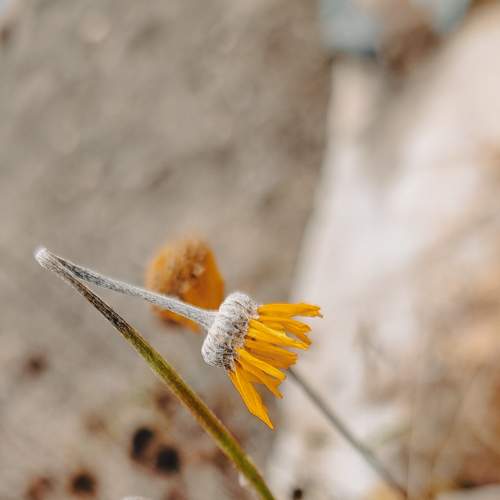 Photo #6632669