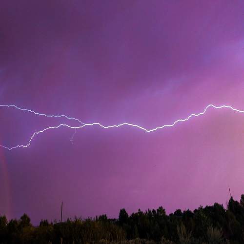 Photo #6632794