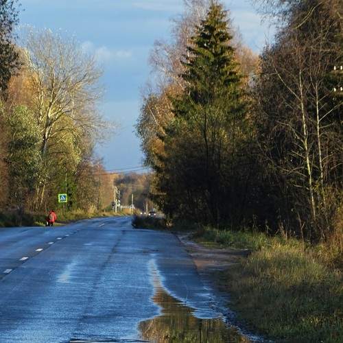 Photo #6633262