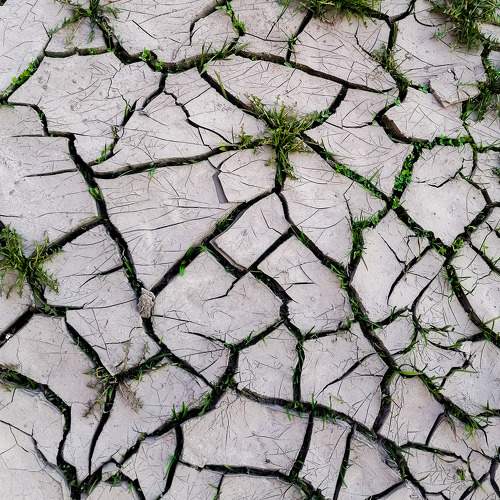 Photo #6633490