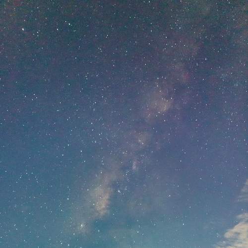 Photo #6633500