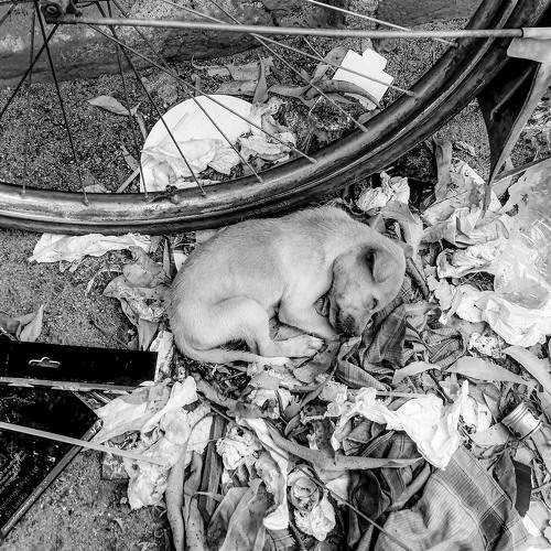 Photo #6633808