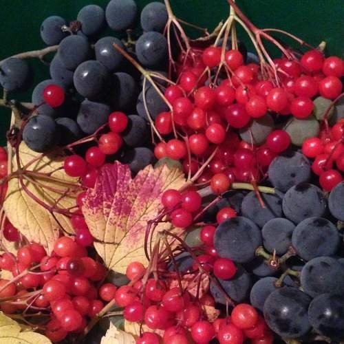 Photo #6633967