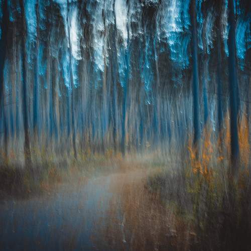 Photo #6634142