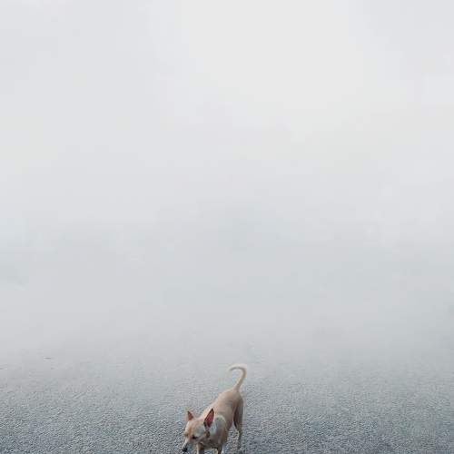 Photo #6634220