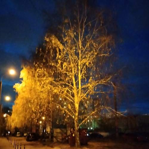 Photo #6634395