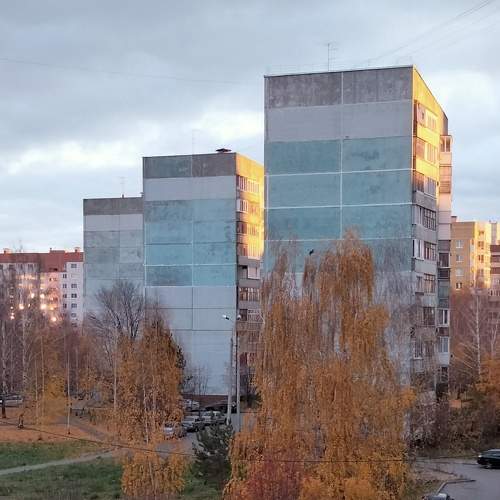Photo #6634410