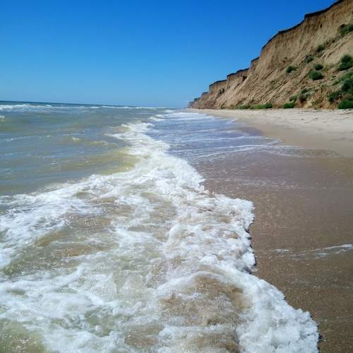 Photo #6634705
