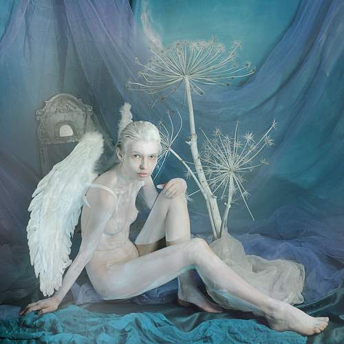 Photo #6634868