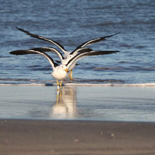 Photo #6634940