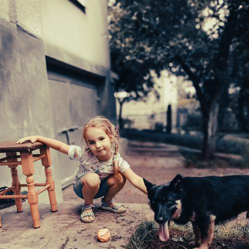 Photo #6635263