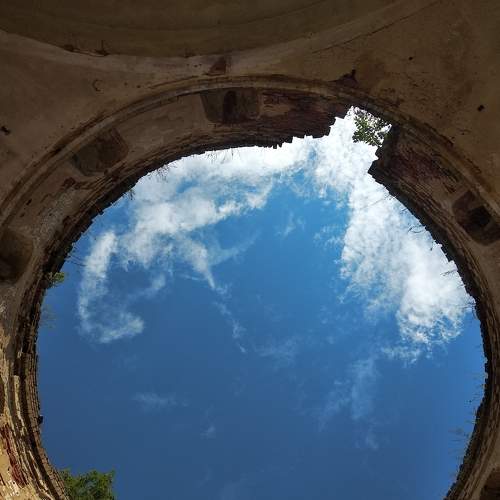 Photo #6635285