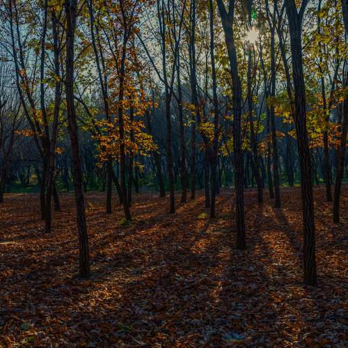 Photo #6635610