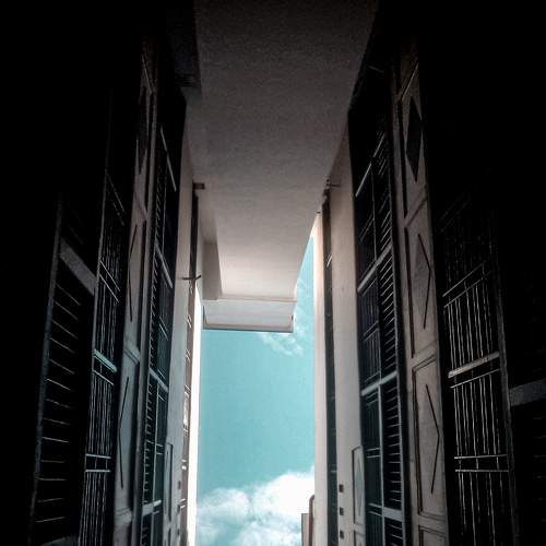 Photo #6635755