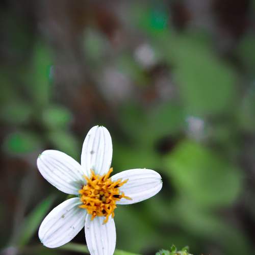 Photo #6635877