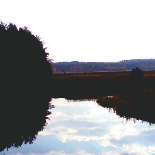 Photo #6635989