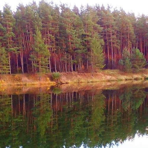 Photo #6635990