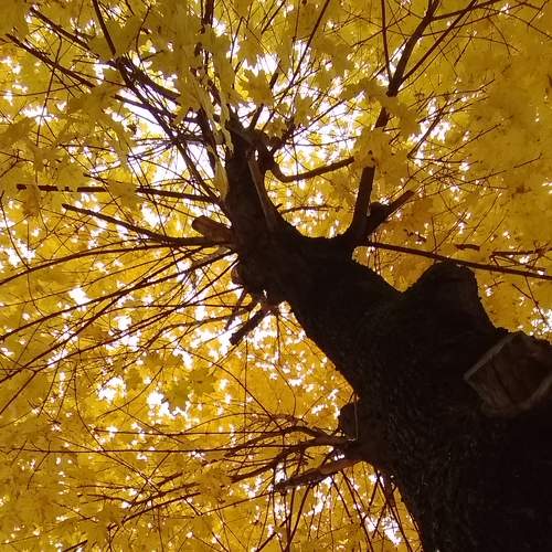 Photo #6636039