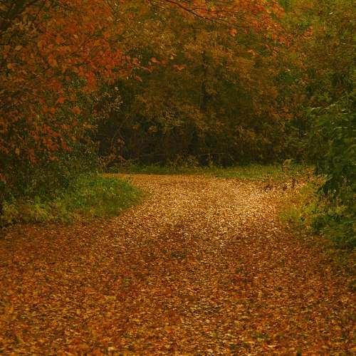 Photo #6636194