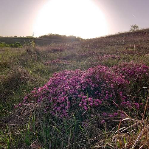 Photo #6636276
